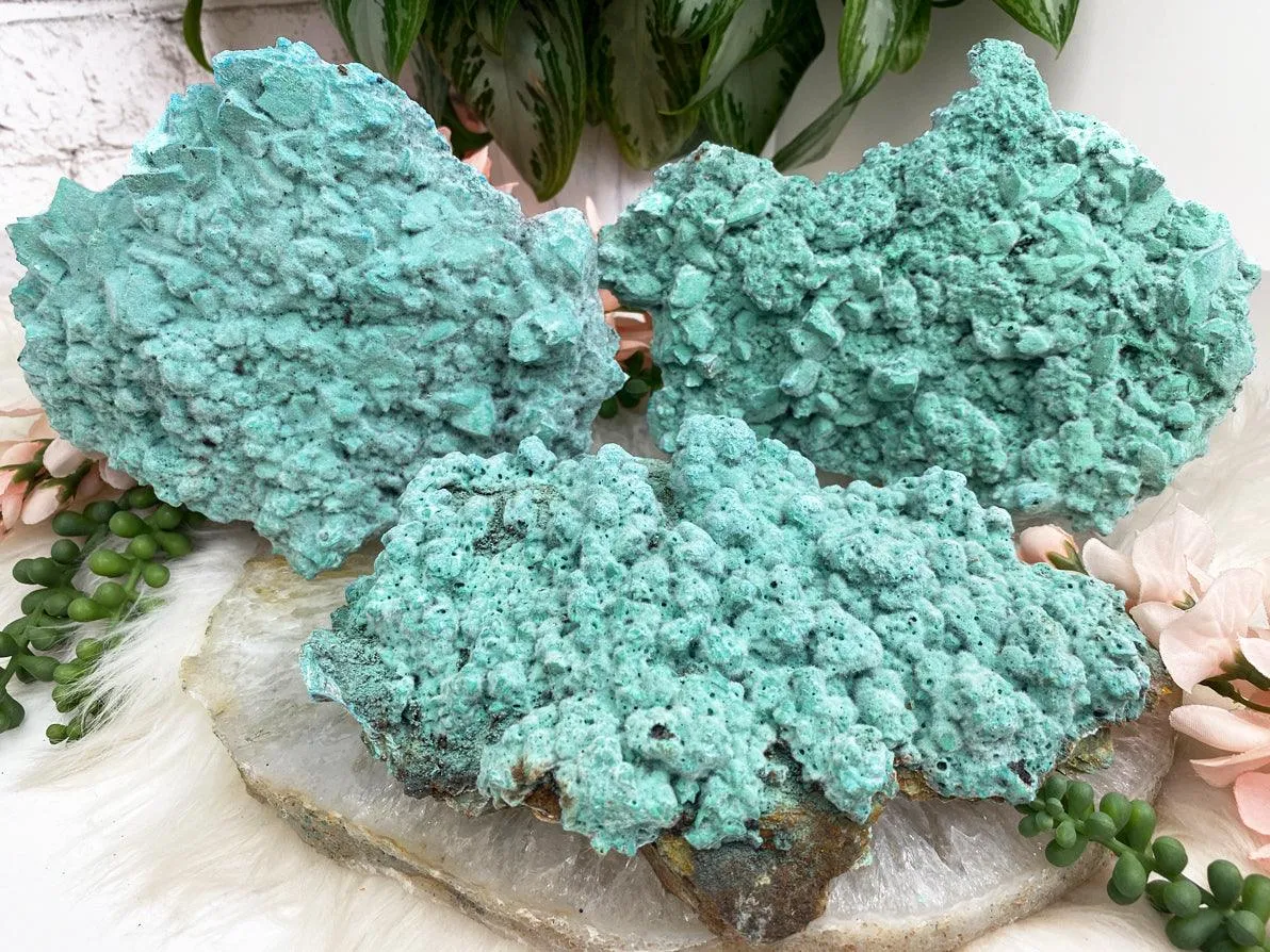 Large Kobyashevite Clusters