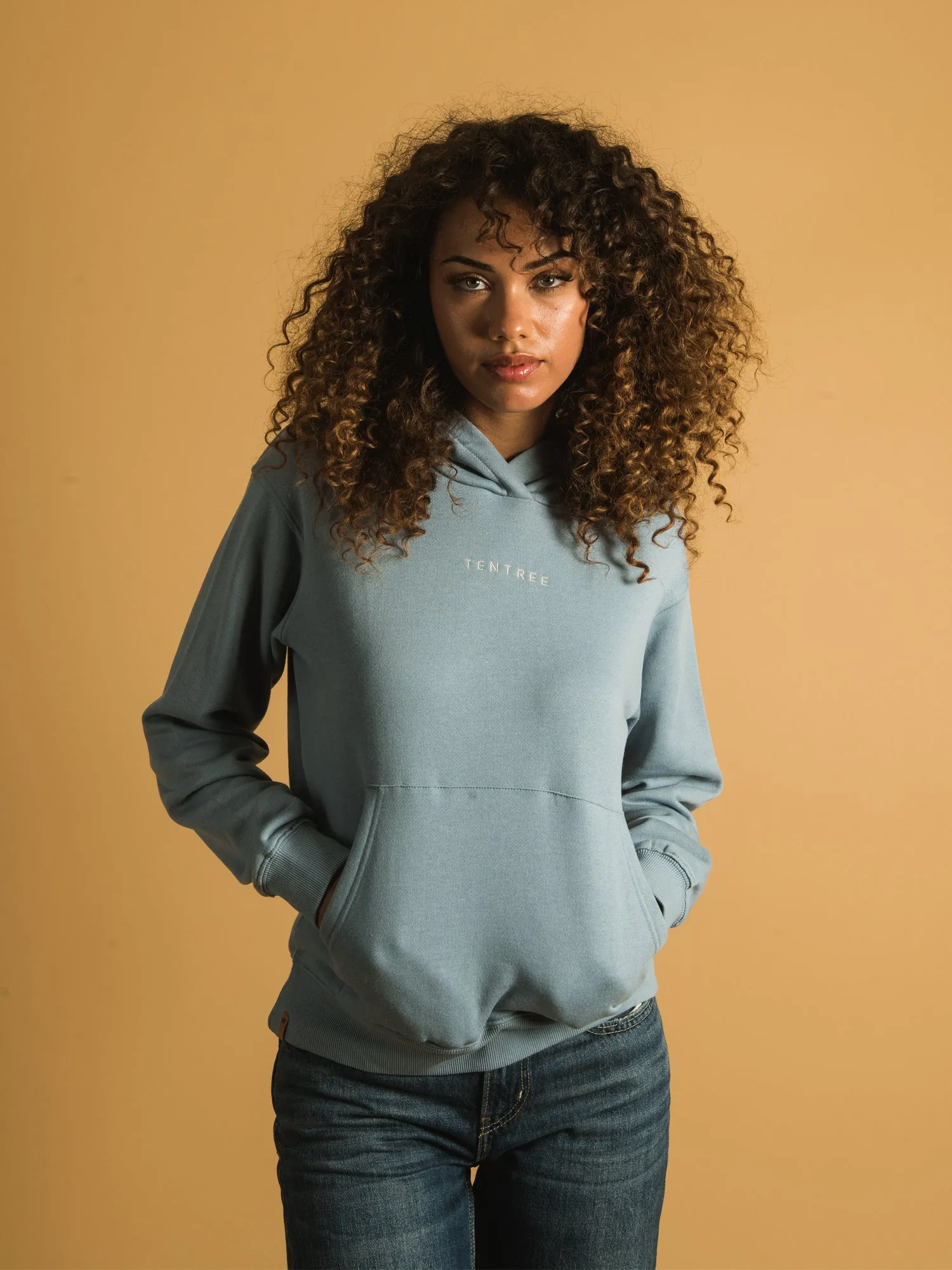 TENTREE RELAXED HOODIE  - CLEARANCE