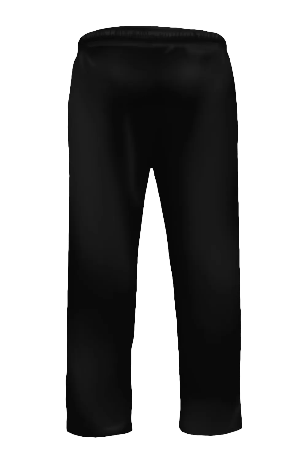 Velocity Training Pants